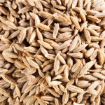 Jeera The Mighty Spice with Marvelous Health Benefits You Need to Know