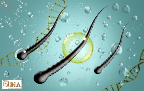 Biotin in Mechanism for Stimulating Hair Growth