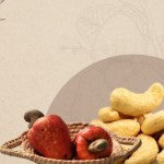 Cashews
