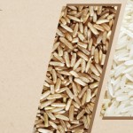 Parboiled rice vs Polished rice